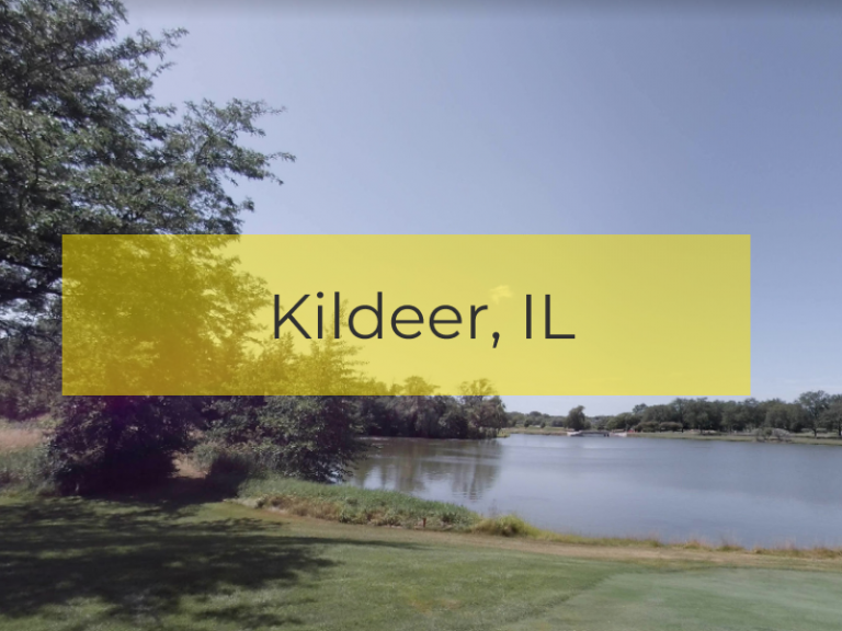 seo kildeer
