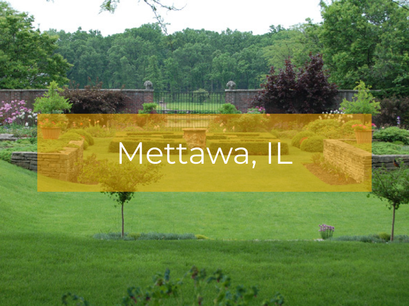 web development mettawa