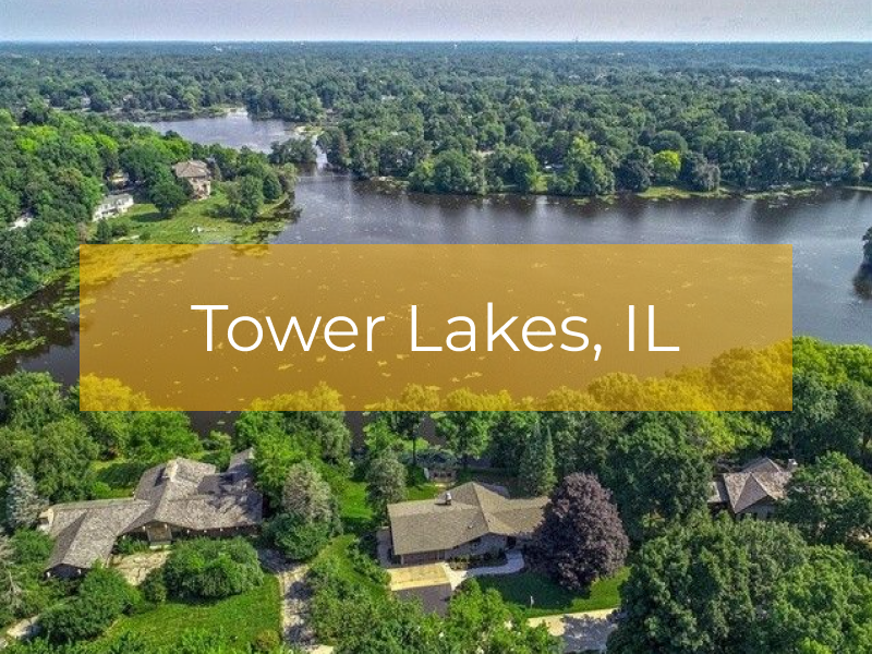 web development tower lakes